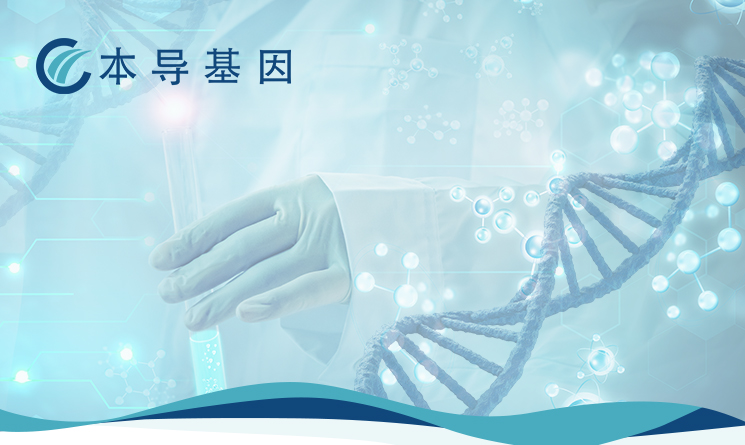 本导基因：优化基因药物递送技术，围绕眼科、造血系统疾病搭建数条管线